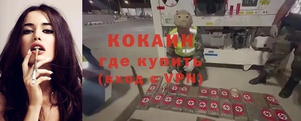 apvp Михайлов